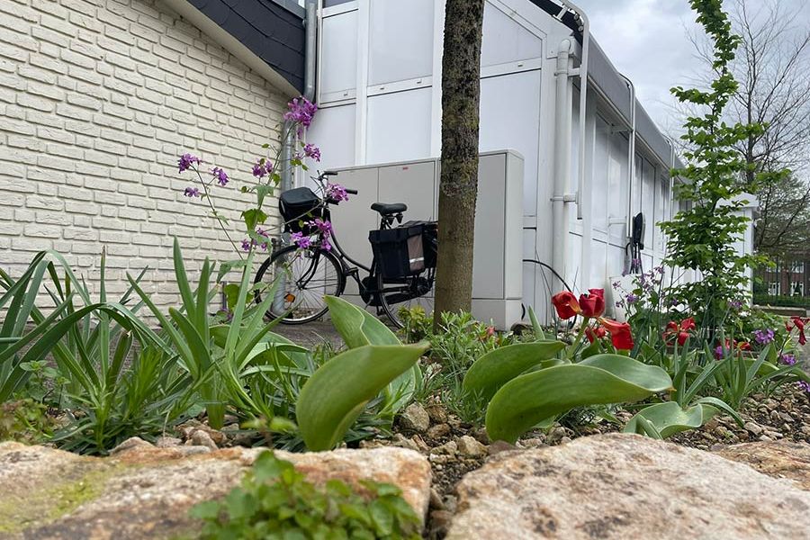 Saunapark Epe nachher