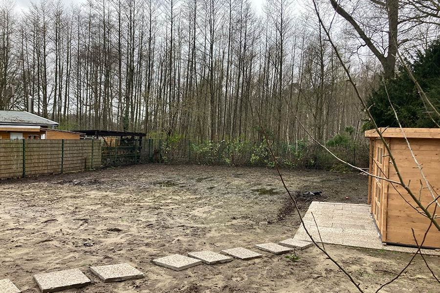 Wildblumenwiese vorher