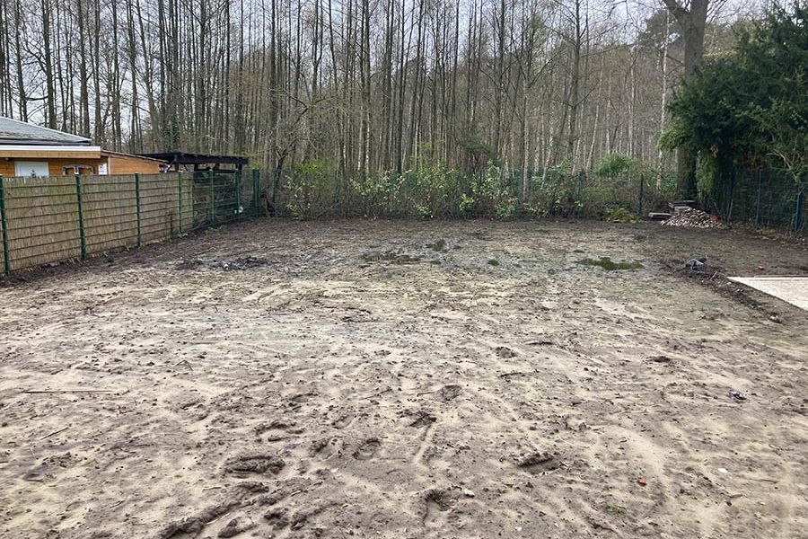 Wildblumenwiese vorher